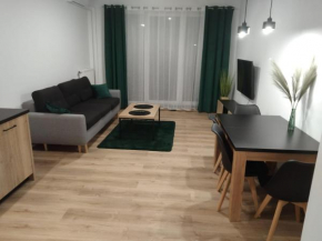 Apartament Berylowa 1, Konin